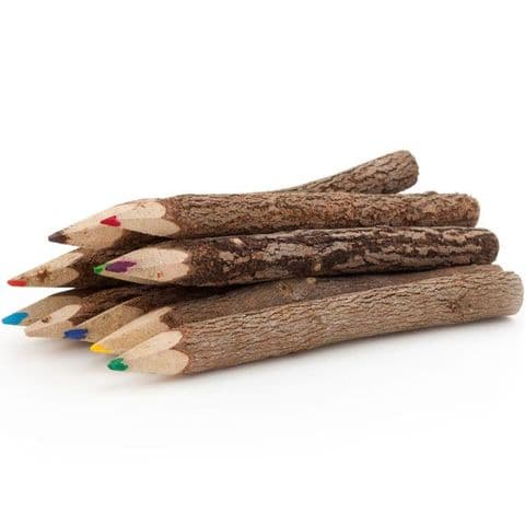 10 x Wooden Twig Colouring Pencils - Hand Made in Thailand