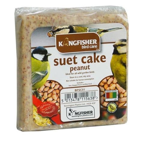 Peanut Suet Cake For Wild Garden Birds Kingfisher Bird Care