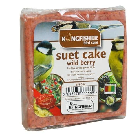 Wild Berry Suet Cake For Wild Garden Birds Kingfisher Bird Care