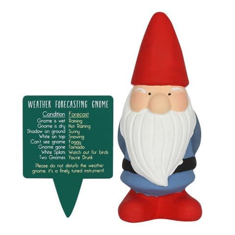 Weather Forecasting Gnome Garden Gift Something Different